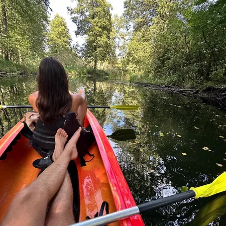 Mazurski - Wake Up * Ogonki