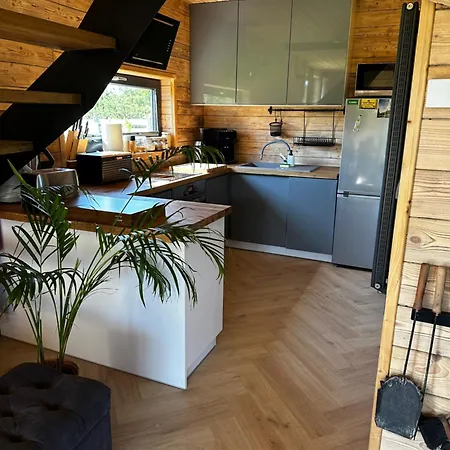 Mazurski - Wake Up Ogonki