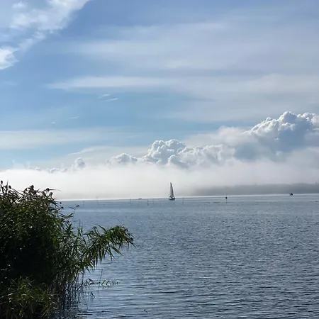 Mazurski - Wake Up * Ogonki