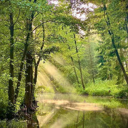 Mazurski - Wake Up Villa