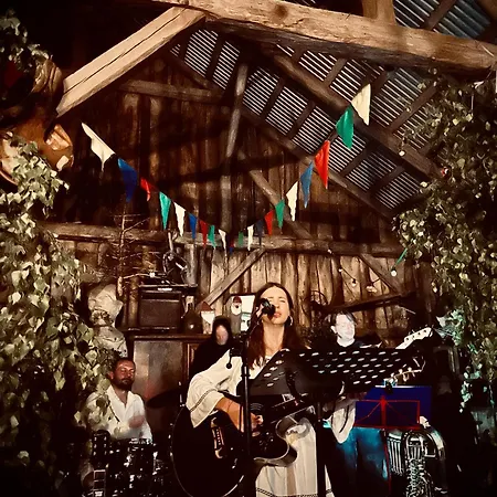 Mazurski - Wake Up Villa Ogonki